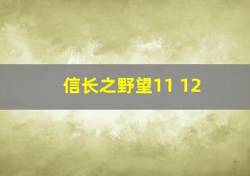 信长之野望11 12